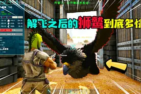 方舟：在成功解除飞行限制之后，狮鹫到底能有多快的速度？视频封面