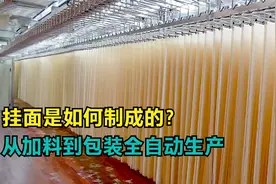挂面是如何制成的？从加料到包装全自动生产，真的长见识！视频封面