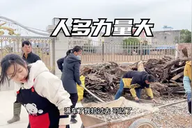 家里兄弟多就是好，一人做事大家帮，二嫂叫阿旺多生几个视频封面