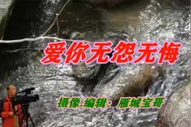 送你一首好听的歌：（爱你无怨无悔）视频封面