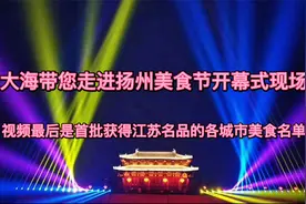 江苏-扬州美食节开幕，各城市的江苏名品公布是你们心中所想的吗视频封面