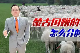 蒙古国捐赠的3万只羊终于来了！分配方案出炉，献给最可爱的人视频封面