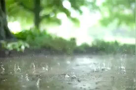 20首世界上最美的背景轻音乐 纯粹优美 愉悦身心 放松减压纯音乐视频封面