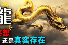 龙生活在地球的大气层？它们究竟是真实存在，还是古人的妄想视频封面