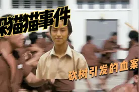 躲猫猫事件的始末，小伙看守所离奇死亡，一起因砍树引发的血案！视频封面