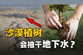 强行在沙漠边缘、草原植树造林，反而会使地下水越来越透支？视频封面