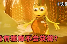 你知道蜜蜂怎样筑巢吗？过程搞笑又治愈视频封面