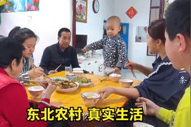 实拍东北二条家猫冬生活，气温回升热炕头吃饭，老少四辈太幸福！视频封面