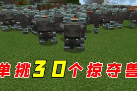 我的世界：粉丝强烈要求，单挑30个掠夺兽，没有撤退可言！视频封面