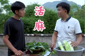 农村的“活麻”碰到就红肿，很多人不知道它还能吃，这可怎么下嘴