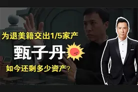 甄子丹：为了退出美国籍，交出了1_5的家产，如今他还剩多少资产视频封面