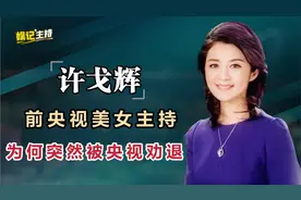 “害”许戈辉被央视辞退，花1亿与前妻离婚的丁健，如今怎么样了