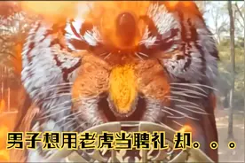 这个老虎特效太赞了视频封面