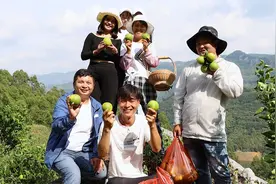 来娶我吧，我种橙子养你，身后这些都是我家的，农村美女的心声视频封面