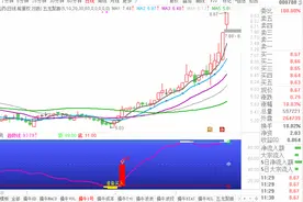 西北狼：3月17日解析000788北大医药视频封面