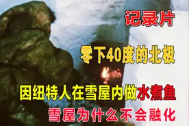 零下40度北极，因纽特人在雪屋内做水煮鱼，雪屋为什么不会融化？视频封面