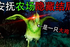 抓鸡时长两年半的练习生！！！！安抚系列地图农场【Pacify】