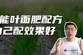 教你一个万能叶面肥配方，营养全面用途广泛，制作简单在家就能做视频封面