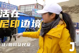 西藏阿里住着很多外国人，居住环境脏乱也不离开，比住山洞好太多视频封面