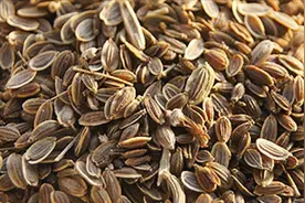 72集辛香料连播——第三十五集千里香视频封面
