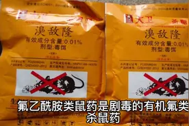 广东面包店误将鼠药做入面包致10岁女孩死亡，鼠药毒性为何这么强视频封面