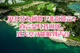 贝多芬为何留下悲伤遗言？直言受耳聋困扰，到天堂才能听到声音视频封面
