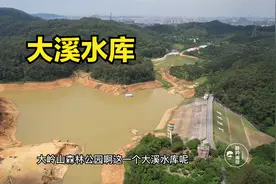 无人打扰的东莞高山水库，连续干旱水面缩小，大鱼估计都饿疯了！视频封面