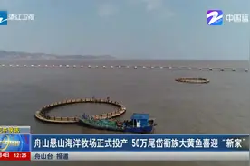 舟山悬山海洋牧场正式投产 50万尾岱衢族大黄鱼喜迎“新家”视频封面