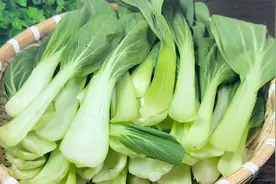 小油菜包饺子，出锅没想到这么好吃，教你调馅方法，一口一个真香视频封面