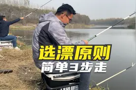 浮漂太多不会选？用这3步，轻松选出适合自己的浮漂，少花冤枉钱视频封面