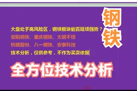 安阳钢铁，重庆钢铁，太钢不锈，杭钢股份，安泰科技 技术全分析视频封面