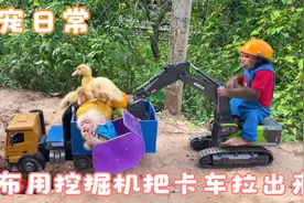 小猴子布布开来挖掘机把陷入坑中的卡车拉出来，然后开心的吃橘子视频封面