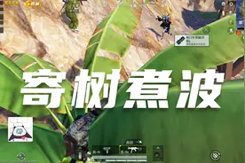 我再也不会快乐了，这都没有吃到鸡视频封面
