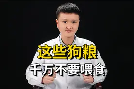 这些狗粮，千万不要喂食！视频封面