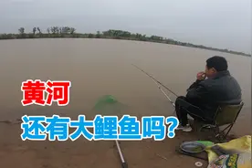 河南新乡黄河滩游玩，偶遇垂钓人，里面还有大鲤鱼吗？视频封面