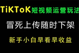白嫖TikTok运营付费内容教程，tiktok如何快速涨粉进阶教程视频封面