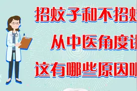 为什么容易招蚊子，中医告诉你原因，学会这些技巧蚊子远离你.