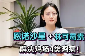 兽医：恩诺沙星+林可霉素，堪称“万金油”，防治鸡场4类鸡病！视频封面