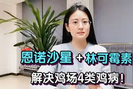 兽医：恩诺沙星+林可霉素，堪称“万金油”，防治鸡场4类鸡病！视频封面