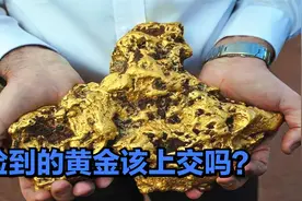捡到的黄金该上交吗？新疆牧民捡到狗头金，其价值达到300万视频封面