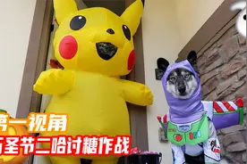 如果你醒来发现变成了二哈？第一视角带你开展万圣节讨糖大作战！视频封面