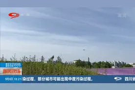 抓住春天的“尾巴”来“悦动彩林”邂逅紫色花海视频封面