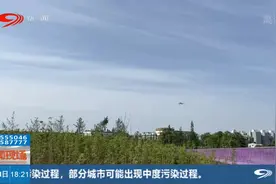 抓住春天的“尾巴”来“悦动彩林”邂逅紫色花海视频封面