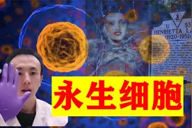 永生的海拉细胞，拯救了无数生命，能否帮助人类破解长寿密码？视频封面