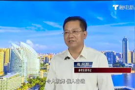 加快打造“五新赤坎”  全力建设新时代湛江首善之区视频封面
