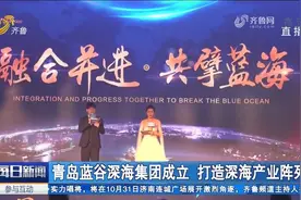 青岛蓝谷深海集团启动引智工程,与国际院士合作,助推蓝色产业发展视频封面