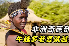 非洲“奇葩”部落，一个男人4个妻子，牛越多老婆就越多！视频封面