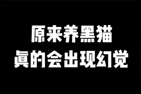 小黑猫啵啵刚到我家的时候~视频封面