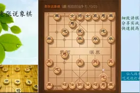 先锋马飞刀，吃炮吃车，万花丛中过片叶不沾身.视频封面