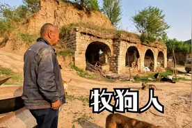 盂县一无人村老人收养一群流浪狗，每天以放狗为生，还养鸡和猪视频封面